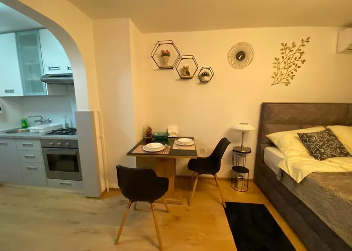 Studio Apartment Lacus